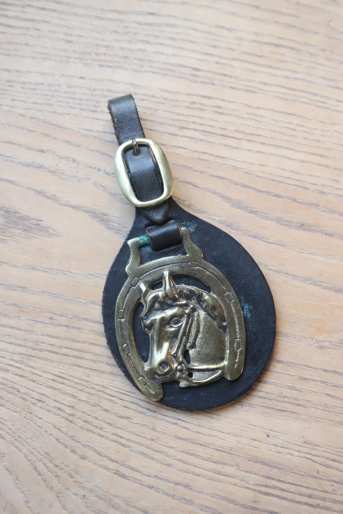 Vintage Saddle medallion on leather