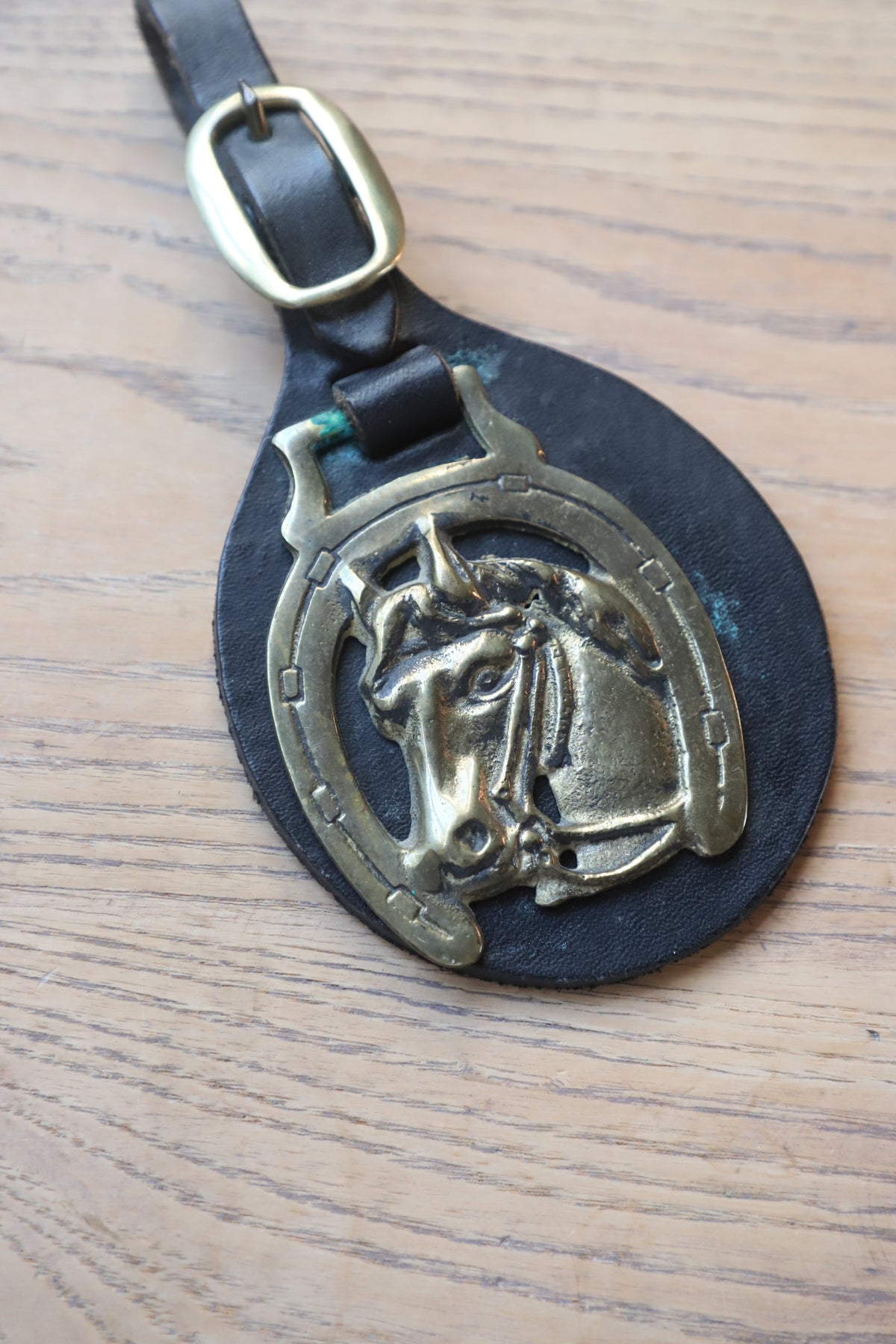 Vintage Saddle medallion on leather